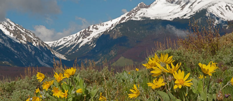 mtns-colorado-800-web