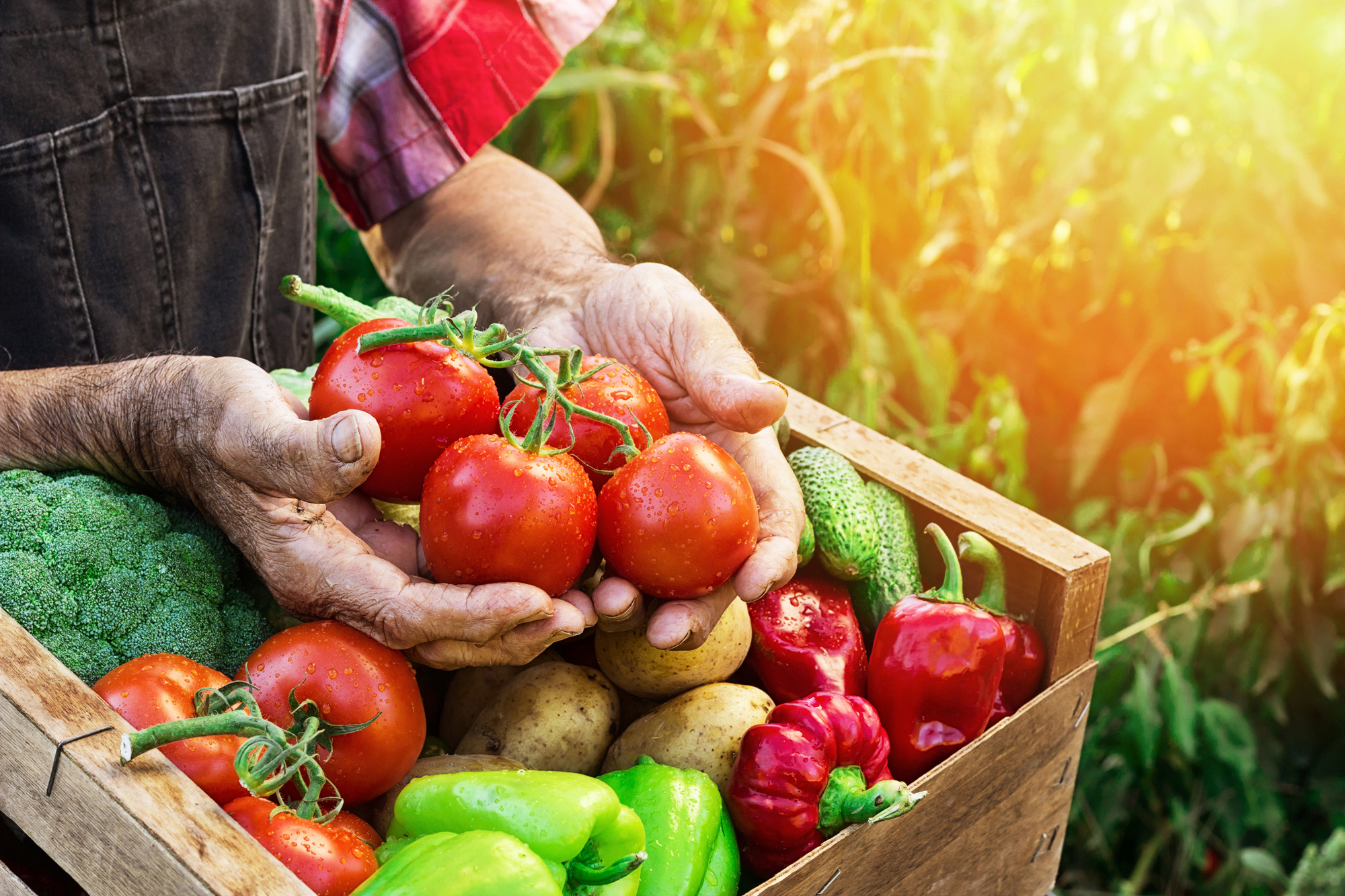 Crate with vegetables