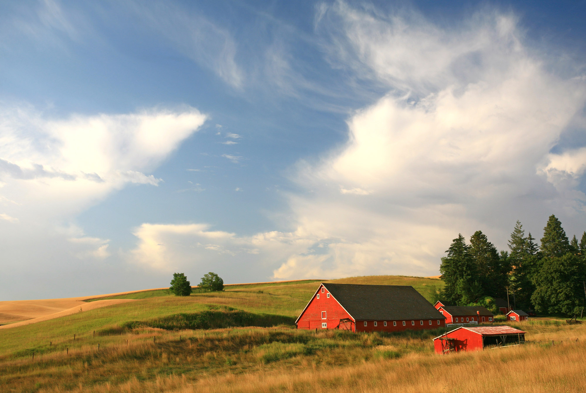 Red Barn on the Palouse Region of Washington