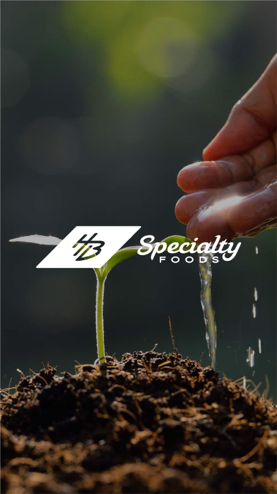 Sponsor